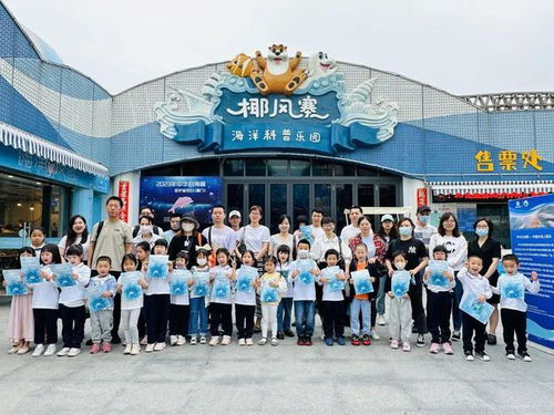 沙灘上遇到它們該怎么辦 記住這三點(diǎn)